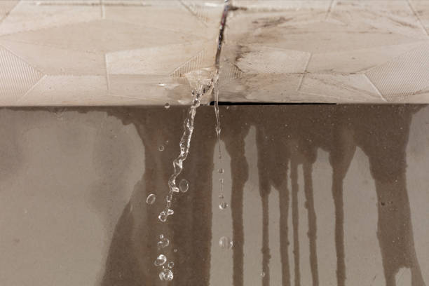 Professional Water Damage Inspection technician working in Reisterstown, MD
